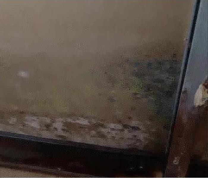 Mold growth on a wall.