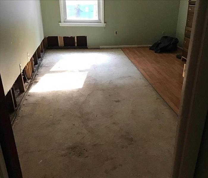 Bedroom after floor demo and flood cuts.