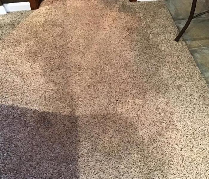 Wet carpet.